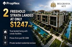 Belgravia Ace (D28), Terrace #609546811